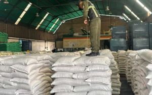 Venezuela exporta 43,2 toneladas de frijol mungo a Francia