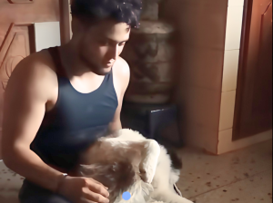 Zeus, el husky viral que sorprendió con su talento para la actuación