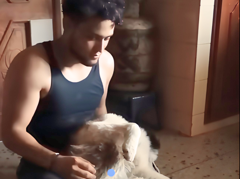 Zeus, el husky viral que sorprendió con su talento para la actuación